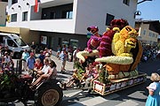 Ice Age aus 26.000 Blumen vom Trachtenverein Schneetoia Ebbs beim Ebbser Blumenkorso  (©Fotp. Martin Schmitz)